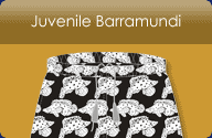 Juvenile Barramundi
